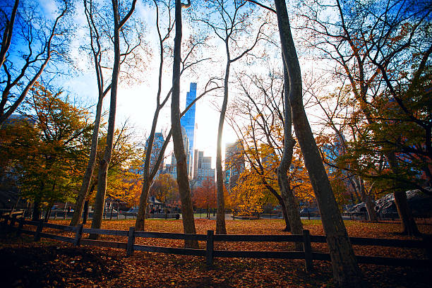 istock New York City Manhattan Central Park 500706018