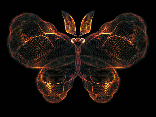 istock Petals of Butterfly 500706053