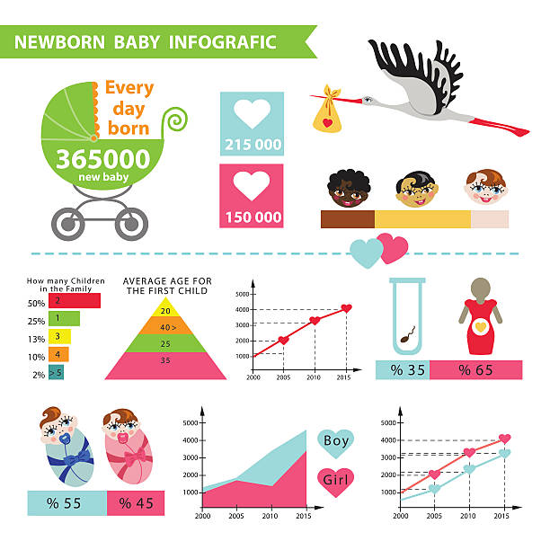 detaillierte vektor baby geboren infographic.new baby-statistiken - weibliches baby grafiken stock-grafiken, -clipart, -cartoons und -symbole