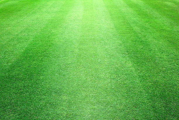 istock greensward football 500706419