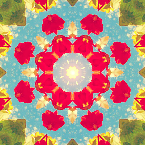 Flower mandala: kaleidoscopic image of a colorful petals
