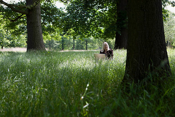 istock Woman With Laptop In Meadow 500708605