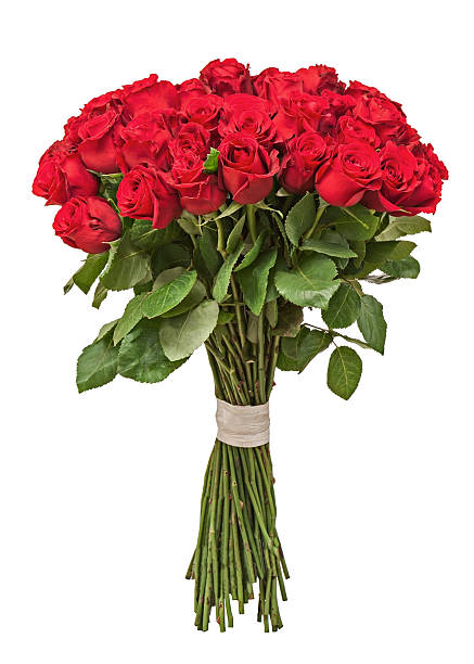 istock Colorful flower bouquet isolated on white background. 500709591