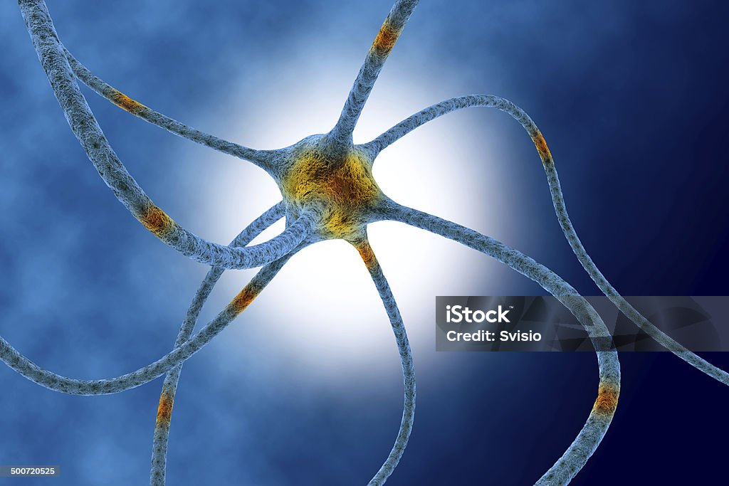 neuron digital illustration neuron Anatomy Stock Photo