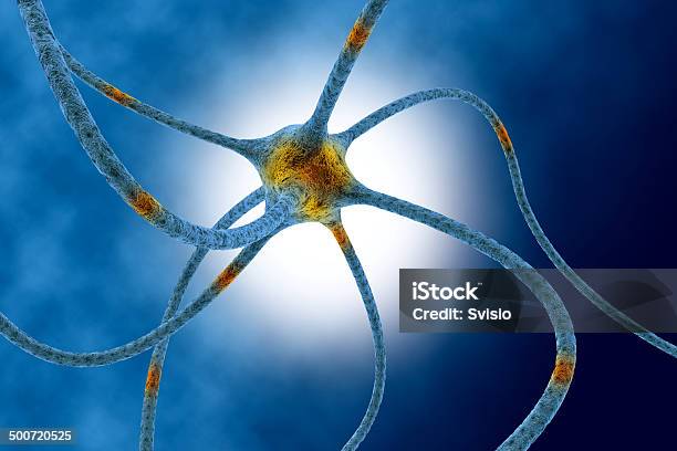 Neuron Stock Photo - Download Image Now - Anatomy, Biology, Blood