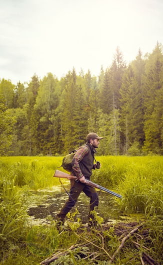 An inspiring image of a man crossing a bog with a shotgun in his hands with sunlight falling from partly overcast skies. Northern Europe green forests, tall grass and swamp environment. Composition from profile, man in the centre, plenty of copy space. Made in Estonia, Northern Europe.