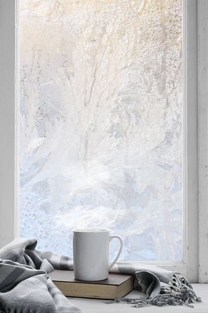 Cozy winter still life Cozy winter still life: mug of hot tea and book with warm plaid on windowsill against frost pattern on window. winter still life stock pictures, royalty-free photos & images