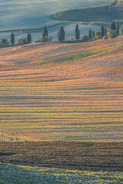 istock Val d'Orcia, Tuscany - Italy 500726312