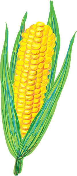 Vector illustration of The art corn