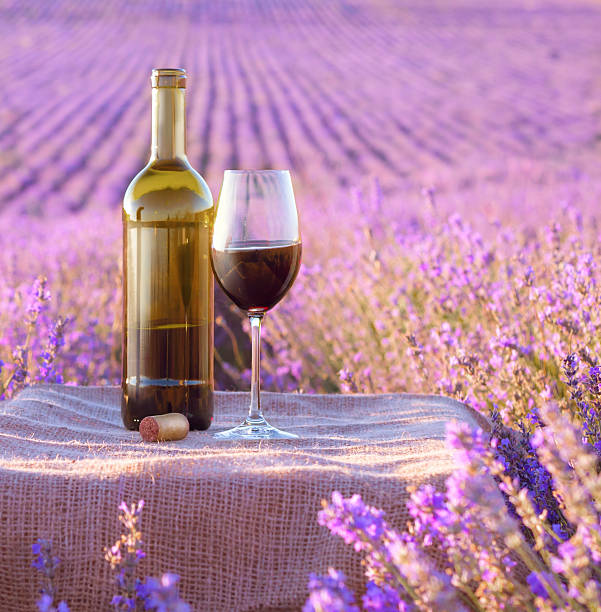 istock Bottle of wine. 500727203