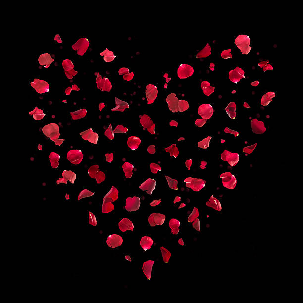 istock Rose Petals Bokeh Heart 500729144