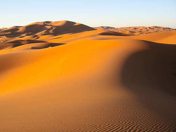 istock Sand dunes in the desert 500733906