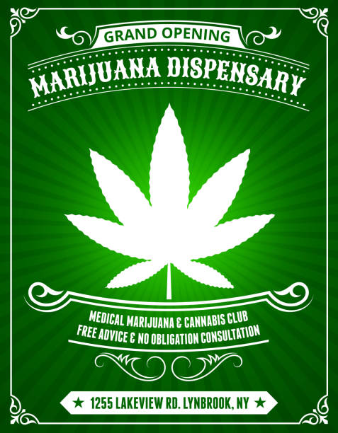 ilustrações, clipart, desenhos animados e ícones de maconha despensa do sobre fundo verde - marijuana plant