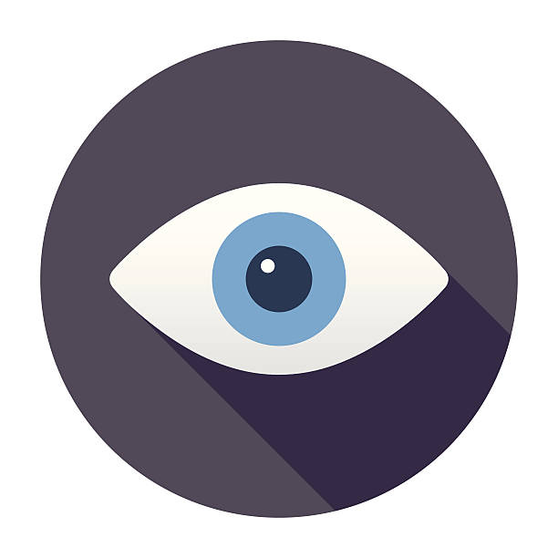 flat eye icon - hayvan gözü stock illustrations