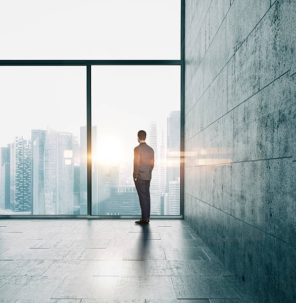 istock Businessman looking at sunset 500736826