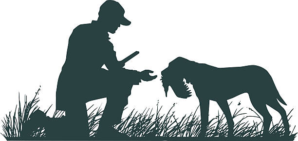Hunter with Retriever A silhouette hunter kneeling in a field to receive a bird from his retriever. hunting stock illustrations