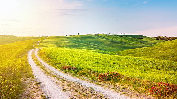 istock Route of the Tuscan countryside 500737254