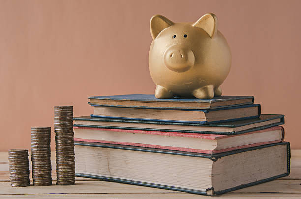 istock Saving plan with Gold Piggy bank 500737364