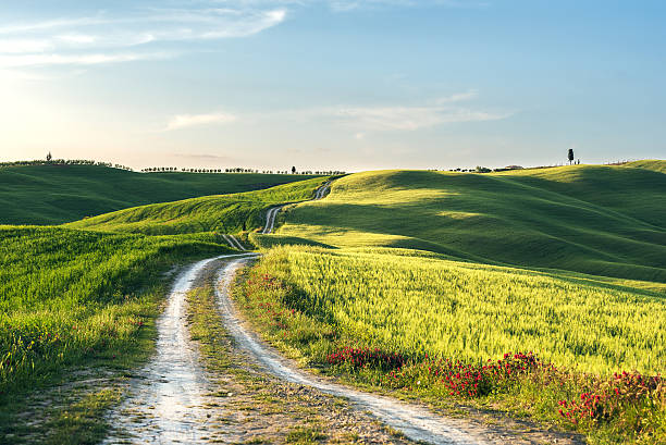 istock Route of the Tuscan countryside 500737500