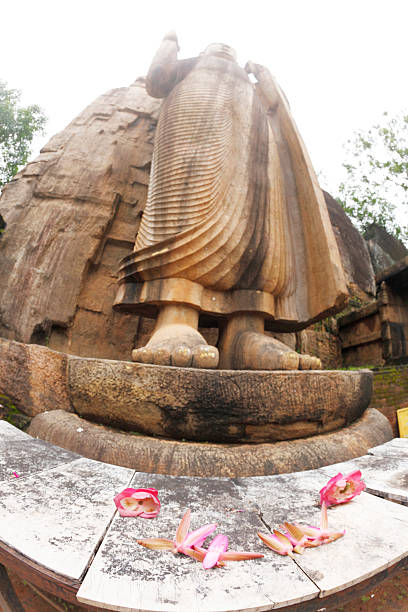 istock Buddha statue ancient  feet and flower blossoms offerings Sri Lanka 500738236