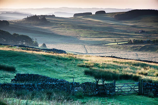 istock Hadrian's wall, Northumberland, England 500740389