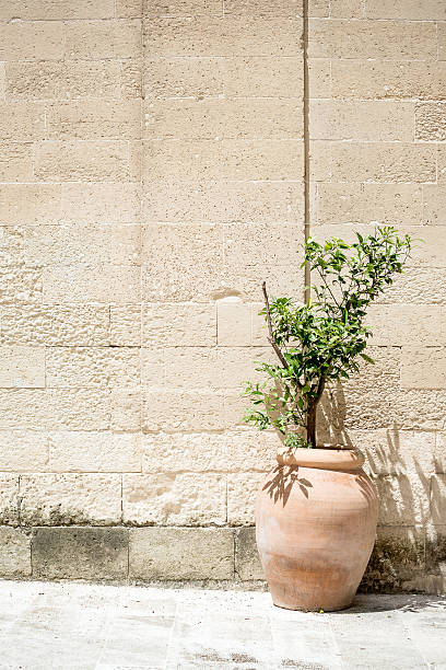 istock Italian wall with vase in Lecce 500741121