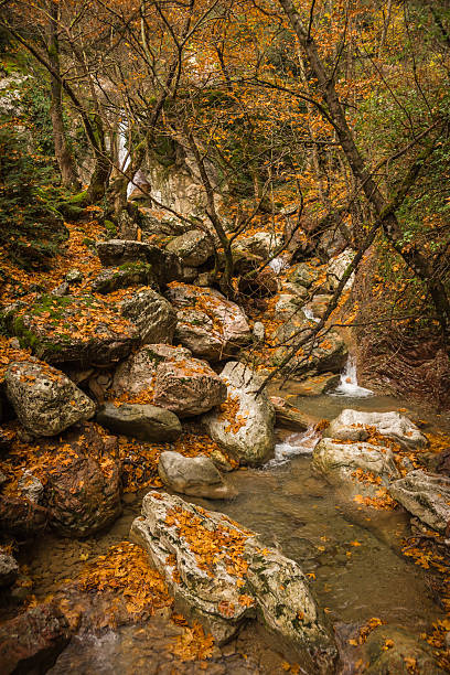 istock Autumn landscape with a river 500745860
