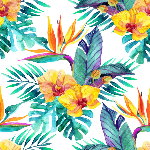 ilustraciones, imágenes clip art, dibujos animados e iconos de stock de hojas y flores tropicales. diseño floral fondo. - hawaiian orchid