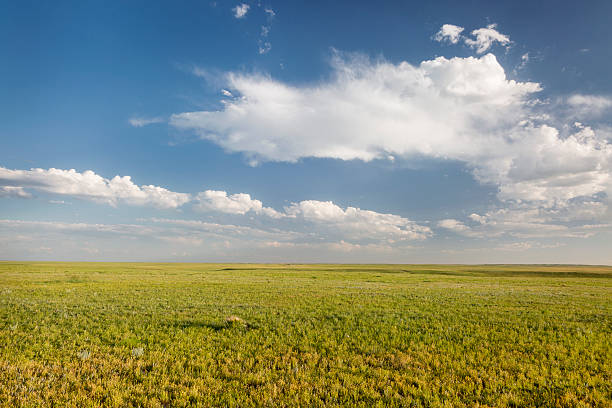 istock short grass prairie in Colorado 500750289