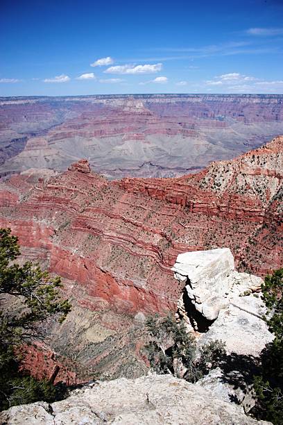 посмотреть в большой каньон из трубы creek vista чеку, сша - canyon plateau large majestic стоковые фото и изображения