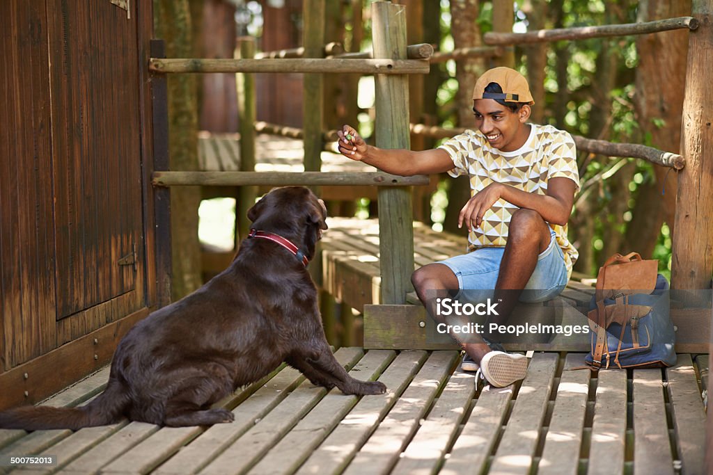 Sending out a friendship request Shot of a teenage boy sitting outside with a doghttp://195.154.178.81/DATA/i_collage/pi/shoots/783557.jpg 16-17 Years Stock Photo