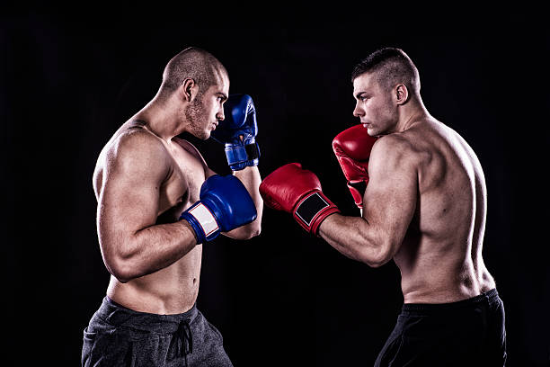 Kick box sparring Kick box before a fight confrontation stock pictures, royalty-free photos & images