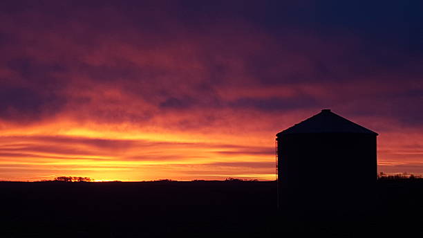 istock Iowa Grain Bin at Sunrise 500752620
