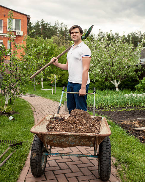 istock smiling man with spade and garden wheelbarrow 500753081