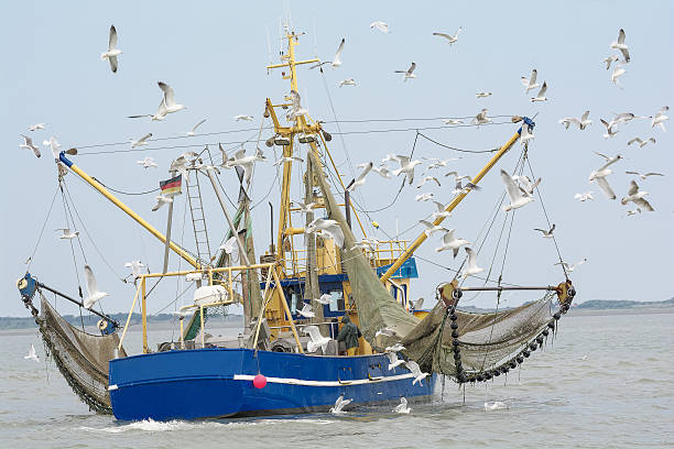 istock Fishing Boat with seagulls North Sea 500753177