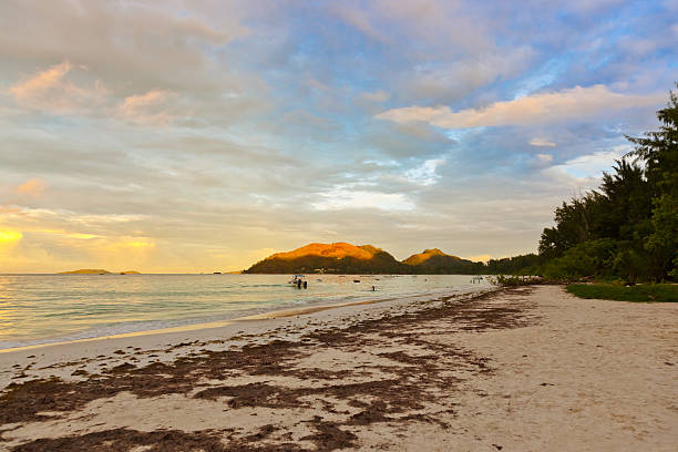 istock Tropical beach Cote d'Or at sunset - Seychelles 500753748