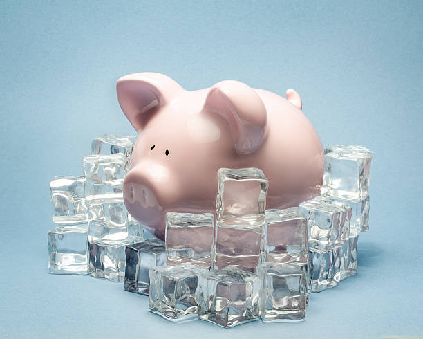 マネーオン氷 - frozen currency finance ice ストックフォトと画像