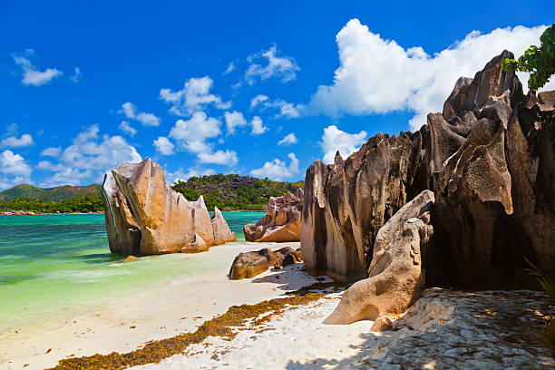 istock Tropical island Curieuse at Seychelles 500755602
