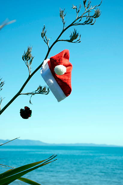 istock Kiwiana Christmas Themed Image 500756180