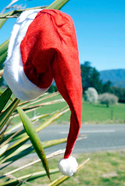 istock Kiwiana Christmas Themed Image 500756550