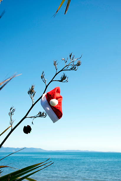Kiwiana Christmas Themed Image