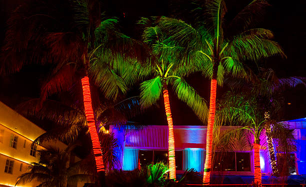istock South Beach Neon Lit Palm Trees in Miami Travel Destination 500756840