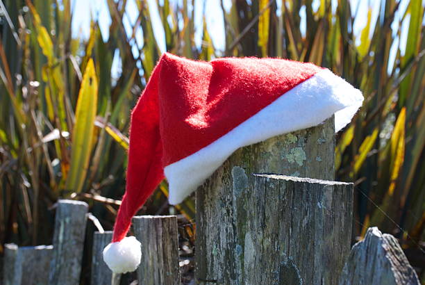 istock Kiwiana Christmas Rural Themed Image 500756844