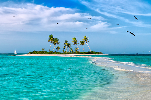 Isla Tropical de fantasía en el Mar Caribe photo