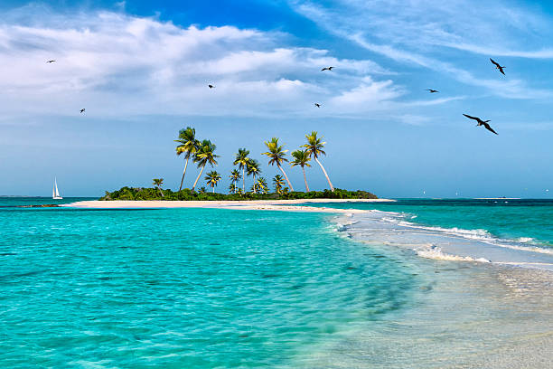 île de rêve tropical de la mer des caraïbes - venezuela photos et images de collection