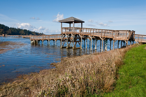 Wetlands are an important ecosystem that are permanently or seasonally dominated by water. The primary factor that distinguishes wetlands from other bodies of water is the characteristic presence of aquatic plants adapted to the unique environment. Wetlands play an important role in the environment, including water purification, water storage, processing of carbon and other nutrients and stabilization of shorelines. Wetlands are also home to a wide variety of plant and animal life. The one mile long Nisqually boardwalk juts out into the tidal estuary and wetland at the Nisqually National Wildlife Refuge near Olympia, Washington State, USA.