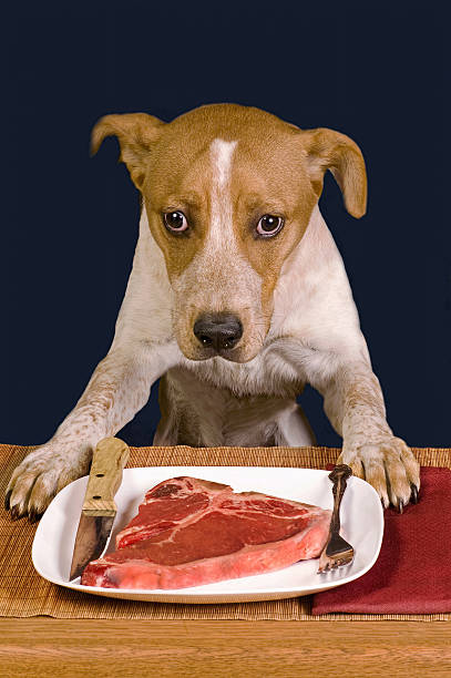 ужин время. - meat raw beef love стоковые фото и изображения