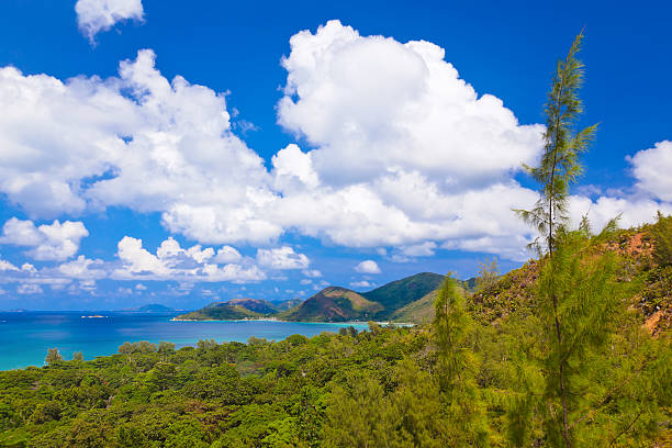 istock Landscape of island Praslin - Seychelles 500757554