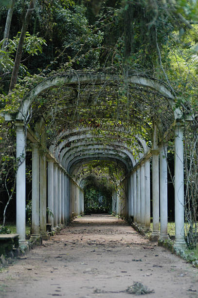 istock Arbor of Vines, Jardim Botanico, Rio 500763829