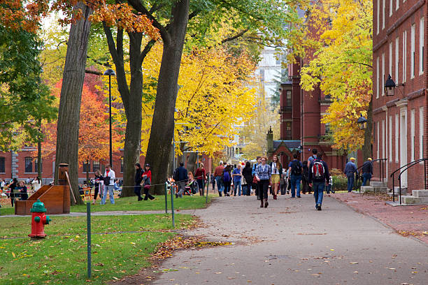 pessoas na harvard yard - universidade de harvard - fotografias e filmes do acervo